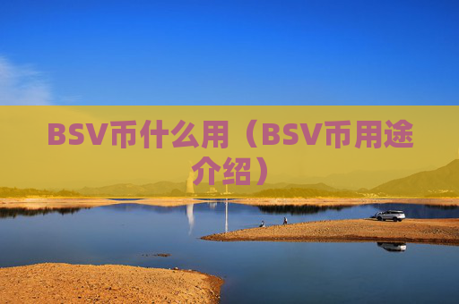 BSV币什么用（BSV币用途介绍）