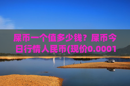 屎币一个值多少钱？屎币今日行情人民币(现价0.00014915元)