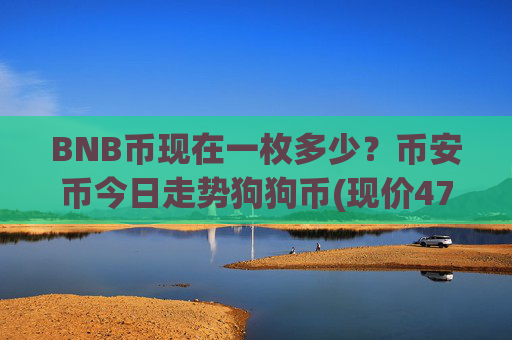 BNB币现在一枚多少?币安币今日走势狗狗币(现价4778.11元)