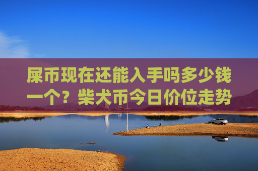 屎币现在还能入手吗多少钱一个？柴犬币今日价位走势图(现价0.00014984元)