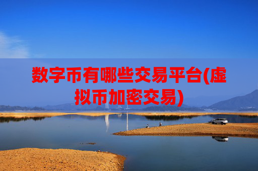 数字币有哪些交易平台(虚拟币加密交易)
