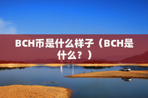 BCH币是什么样子(BCH是什么?)