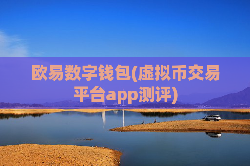 欧易数字钱包(虚拟币交易平台app测评)