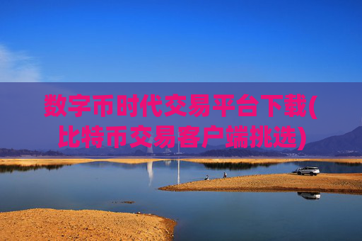 数字币时代交易平台下载(比特币交易客户端挑选)