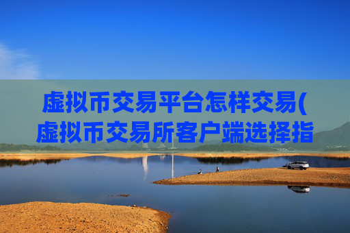 虚拟币交易平台怎样交易(虚拟币交易所客户端选择指南)