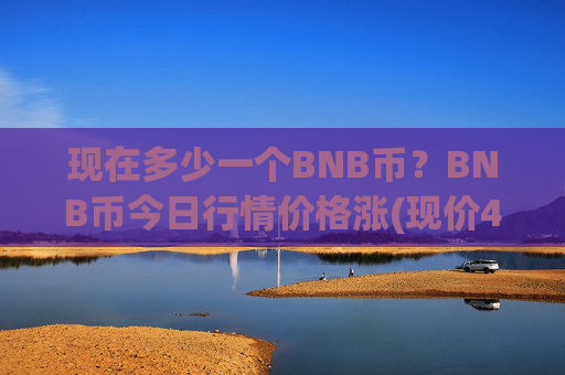 现在多少一个BNB币？BNB币今日行情价格涨(现价4796.32元)