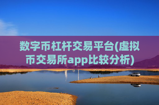 数字币杠杆交易平台(虚拟币交易所app比较分析)
