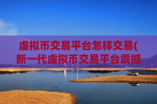 虚拟币交易平台怎样交易(新一代虚拟币交易平台震撼上线)