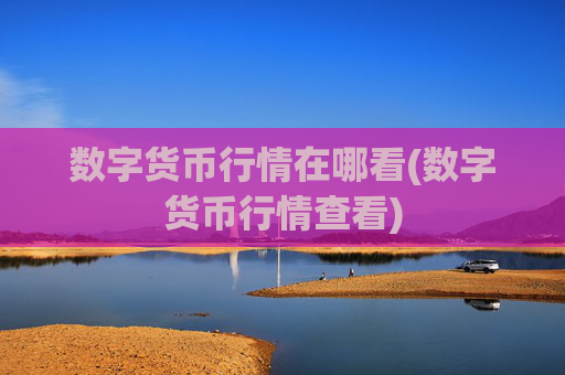 数字货币行情在哪看(数字货币行情查看)
