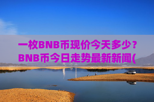 一枚BNB币现价今天多少？BNB币今日走势最新新闻(现价4831.41元)