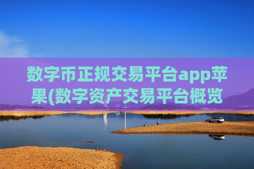 数字币正规交易平台app苹果(数字资产交易平台概览)
