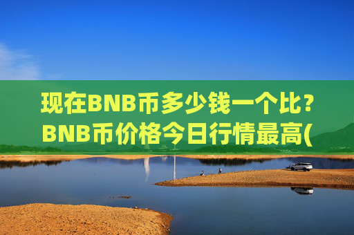 现在BNB币多少钱一个比？BNB币价格今日行情最高(现价4874.57元)