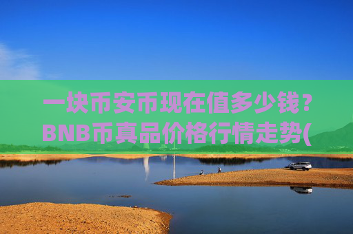 一块币安币现在值多少钱？BNB币真品价格行情走势(现价4901.12元)
