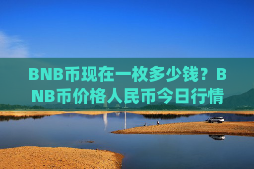 BNB币现在一枚多少钱？BNB币价格人民币今日行情最新(现价4882.63元)