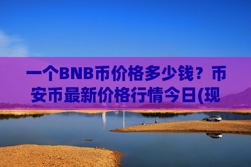 一个BNB币价格多少钱？币安币最新价格行情今日(现价4882.38元)