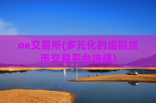 oe交易所(多元化的虚拟货币交易平台选择)