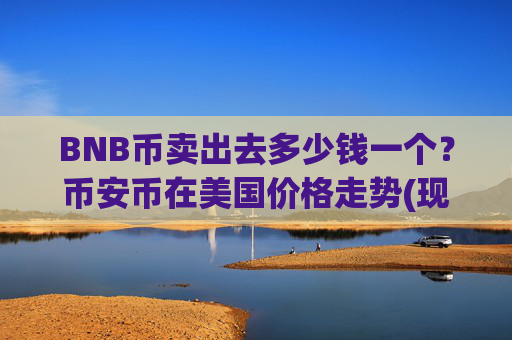 BNB币卖出去多少钱一个？币安币在美国价格走势(现价4879.9元)