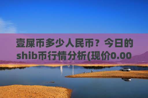 壹屎币多少人民币？今日的shib币行情分析(现价0.00015271元)