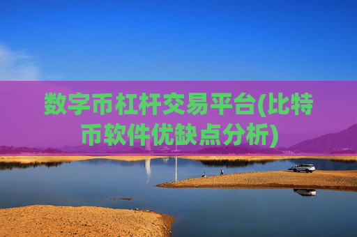 数字币杠杆交易平台(比特币软件优缺点分析)