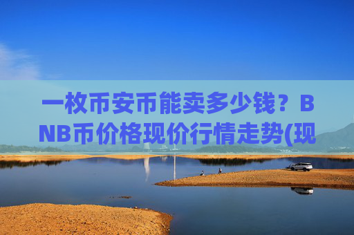 一枚币安币能卖多少钱？BNB币价格现价行情走势(现价4877.52元)