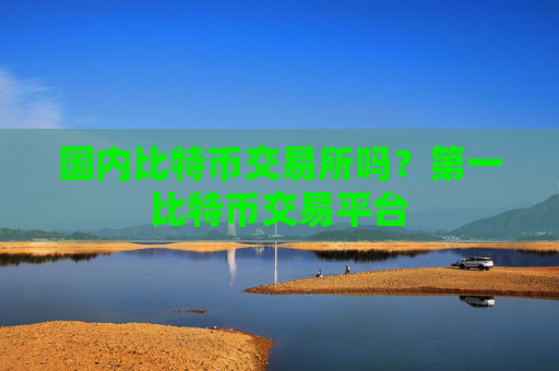 国内比特币交易所吗？第一比特币交易平台