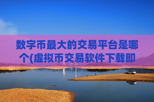 数字币最大的交易平台是哪个(虚拟币交易软件下载即用)