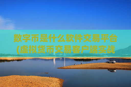 数字币是什么软件交易平台(虚拟货币交易客户端实战指南)