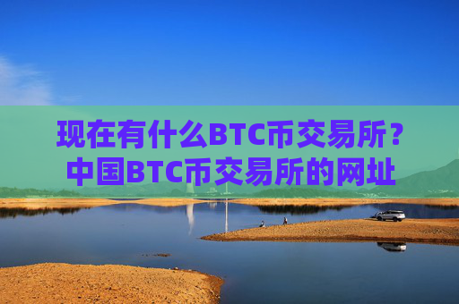 现在有什么BTC币交易所？中国BTC币交易所的网址
