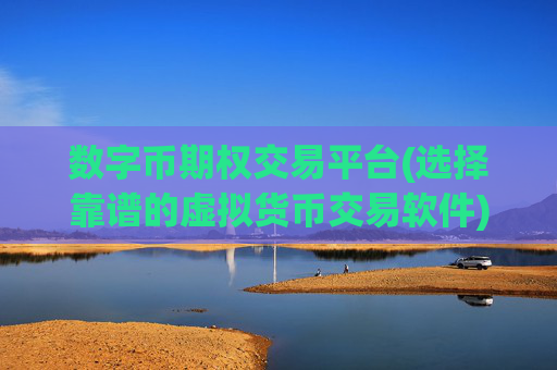 数字币期权交易平台(选择靠谱的虚拟货币交易软件)