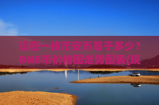 现在一枚币安币等于多少？BNB币价格图走势图表(现价4738.5元)