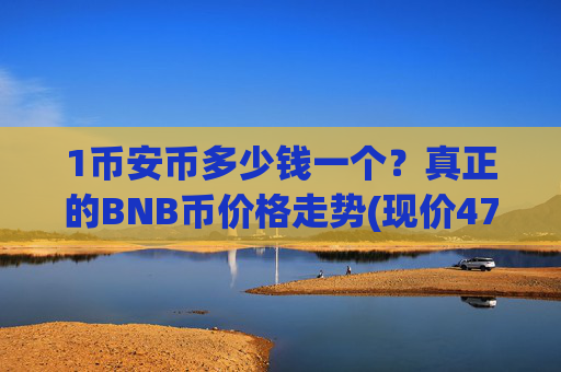 1币安币多少钱一个？真正的BNB币价格走势(现价4785.45元)