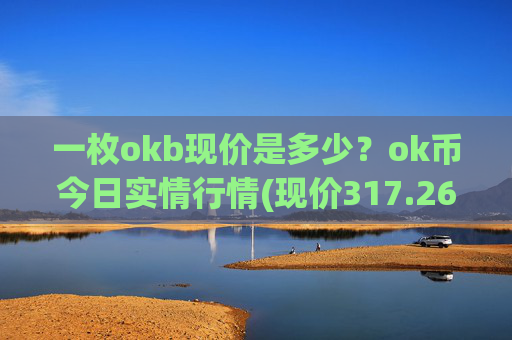 一枚okb现价是多少？ok币今日实情行情(现价317.261元)