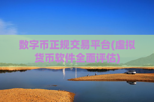 数字币正规交易平台(虚拟货币软件全面评估)