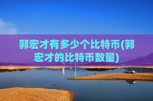 郭宏才有多少个比特币(郭宏才的比特币数量)