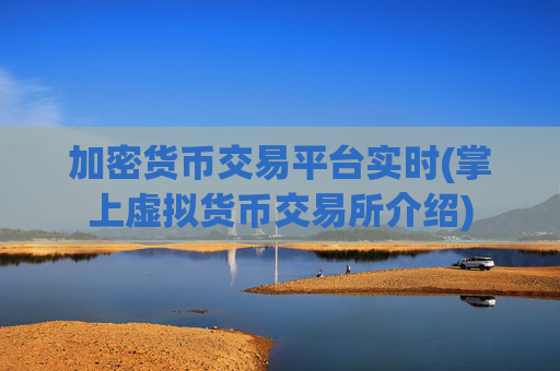 加密货币交易平台实时(掌上虚拟货币交易所介绍)