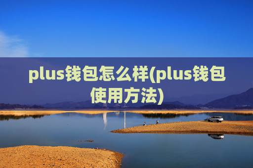 plus钱包怎么样(plus钱包使用方法)