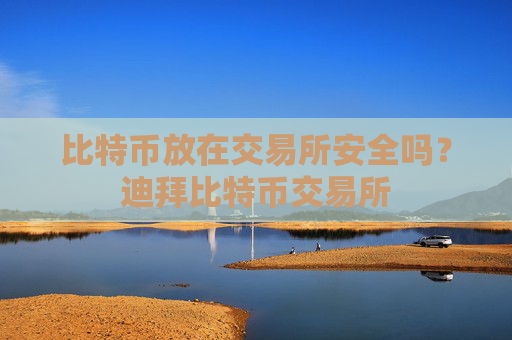 比特币放在交易所安全吗？迪拜比特币交易所