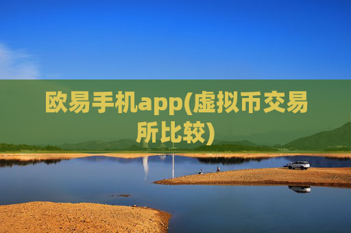 欧易手机app(虚拟币交易所比较)