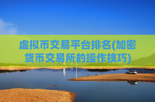 虚拟币交易平台排名(加密货币交易所的操作技巧)