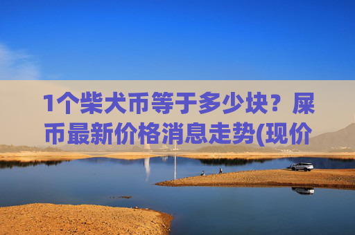 1个柴犬币等于多少块？屎币最新价格消息走势(现价0.00013919元)