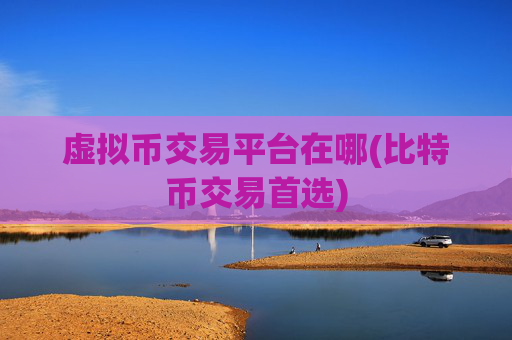 虚拟币交易平台在哪(比特币交易首选)