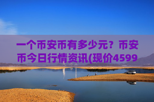 一个币安币有多少元？币安币今日行情资讯(现价4599.9元)
