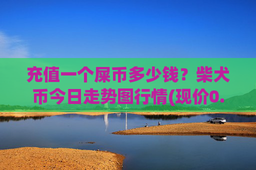 充值一个屎币多少钱？柴犬币今日走势图行情(现价0.00013978元)