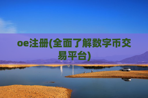 oe注册(全面了解数字币交易平台)