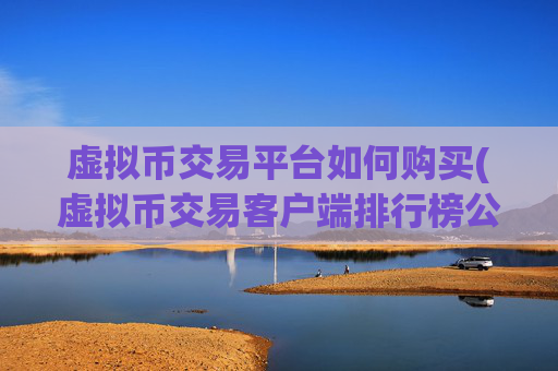 虚拟币交易平台如何购买(虚拟币交易客户端排行榜公布)