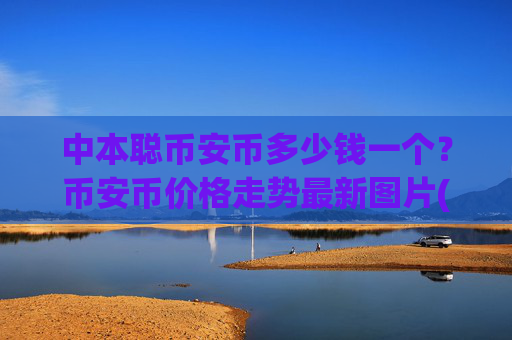 中本聪币安币多少钱一个？币安币价格走势最新图片(现价4607.27元)