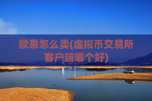 欧易怎么卖(虚拟币交易所客户端哪个好)