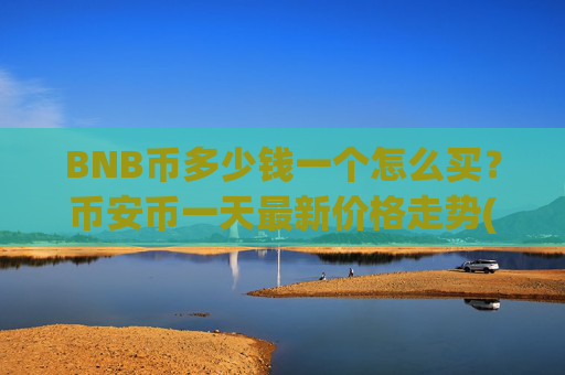 BNB币多少钱一个怎么买？币安币一天最新价格走势(现价4650.88元)