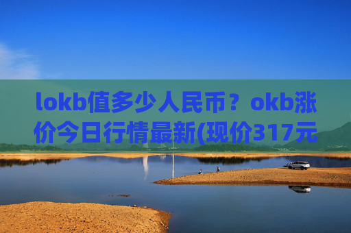 lokb值多少人民币？okb涨价今日行情最新(现价317元)