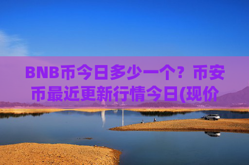 BNB币今日多少一个？币安币最近更新行情今日(现价4699.15元)